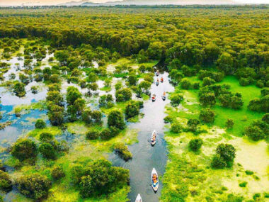 Tour du lịch rừng tràm trà sư kiên giang