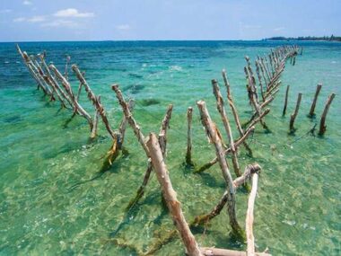 Tour du lịch Nha Trang