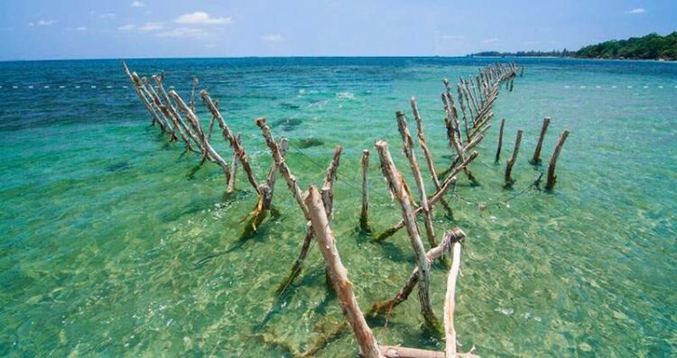 Tour du lịch Nha Trang