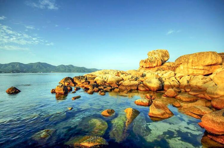 Tour du lịch nha trang