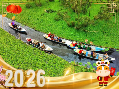 Tour du lịch Châu Đốc - Trà Sư - Cần Thơ 4N3Đ