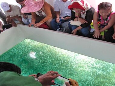 Ngắm những rặng san hô tự nhiên rất đẹp