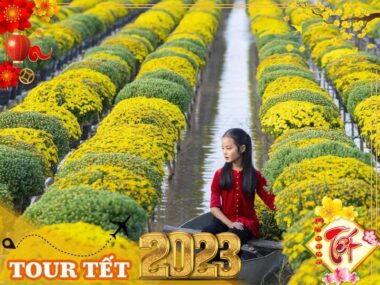 Tour hành hương thập tự - Cầu phúc lộc xuân 2023 - 2 ngày 1 đêm