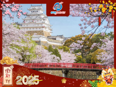 Tour Tết Nhật Bản - Osaka - Kobe - Kyoto - Tokyo - 5N5Đ