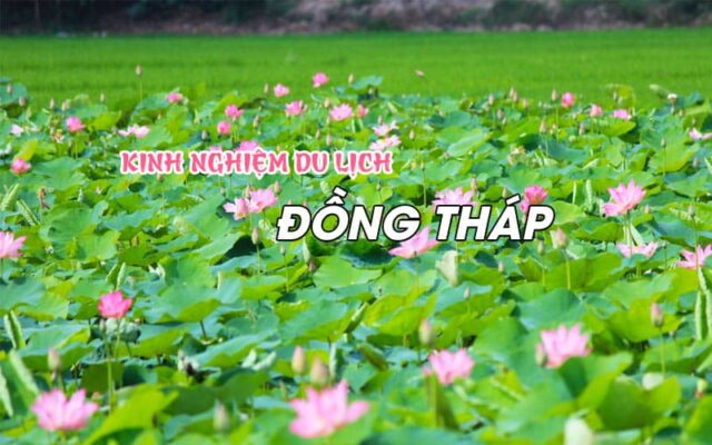 Trọn bộ kinh nghiệm du lịch Đồng Tháp