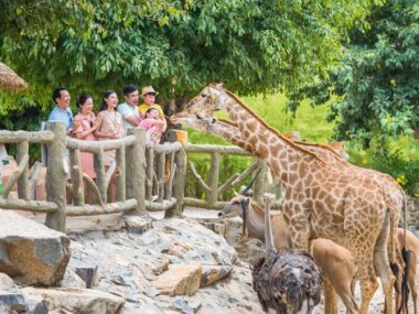 Tour du lịch Nha Trang - Vinwonder