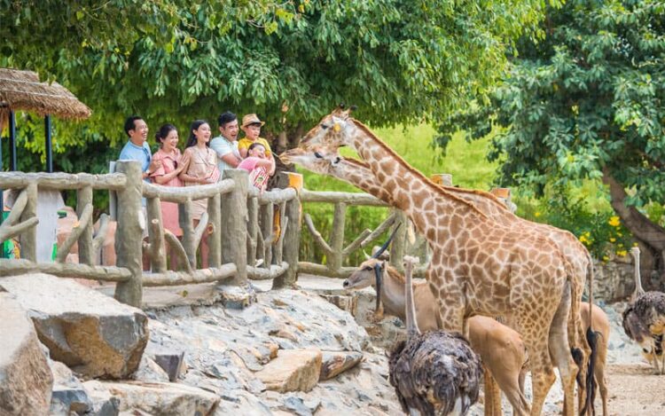 Tour du lịch Nha Trang - Vinwonder