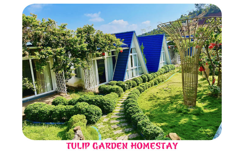 Tulip Garden Homestay