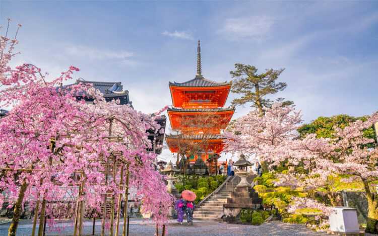 Tour du lịch Nhật Bản - Osaka - Yamanashi - Tokyo - 5N5Đ