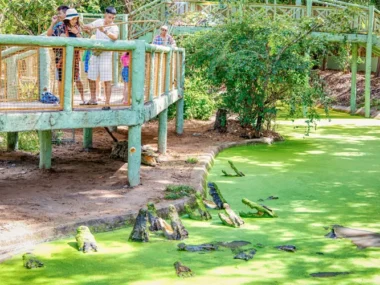 Minera Hot Springs Bình Châu, Bà Rịa Vũng tàu