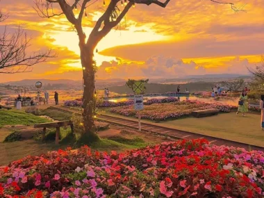 Trạm Ký Ức - Đà Lạt