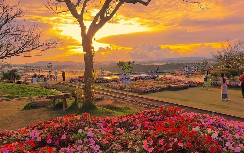 tram-ky-uc-da-lat-3 Trạm Ký Ức - Đà Lạt