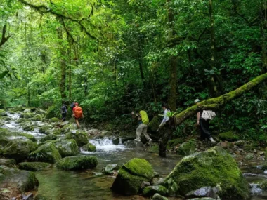 Vườn Quốc Gia Nam Cát Tiên