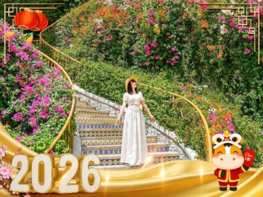 Tour Tết Phú Quốc - Phú quốc – Safari Vinwonders – Sunset Town - 3N2Đ