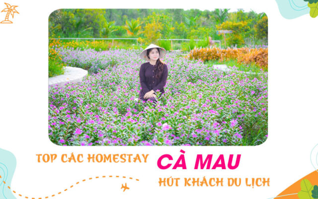 Điểm danh các homestay Cà Mau hút khách du lịch