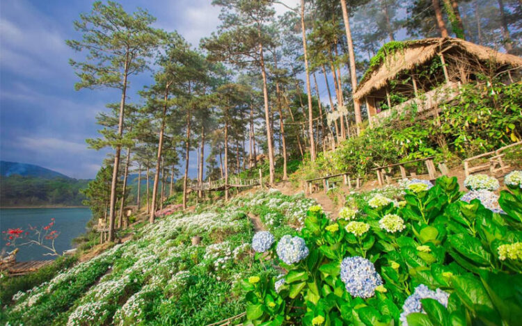 Phim Trường Happy Hill tại Đà Lạt